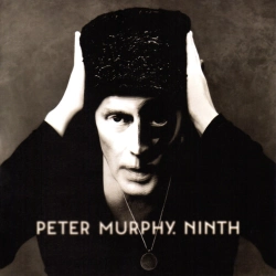 Capa do artigo Ninth - CD