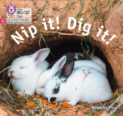 Capa do artigo Nip It! Dig It!