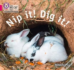 Capa do artigo Nip It! Dig It!