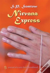 Capa do artigo Nirvana Express