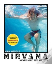 Capa do artigo Nirvana