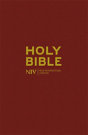 Niv Popular Bible - Preview