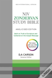 Capa do artigo Niv Zondervan Study Bible (Anglicised)
