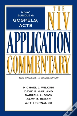 Capa do artigo Nivac Bundle 6: Gospels, Acts