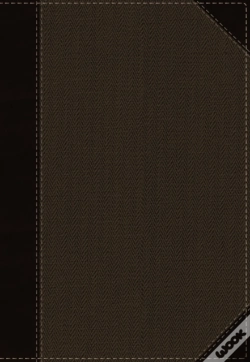 Capa do artigo Nkjv, Cultural Backgrounds Study Bible