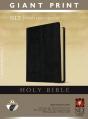 Nlt Holy Bible, Giant Print, Black, Indexed - Preview