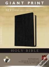 Capa do artigo Nlt Holy Bible, Giant Print, Black, Indexed
