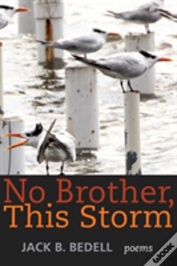Capa do artigo No Brother, This Storm