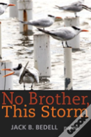 No Brother, This Storm