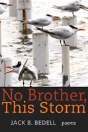 No Brother, This Storm - Preview