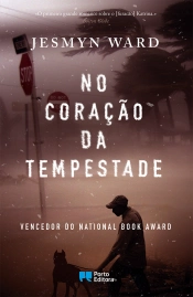 Capa do artigo No Coração da Tempestade