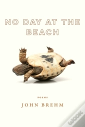No Day At The Beach