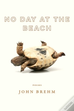 Capa do artigo No Day At The Beach