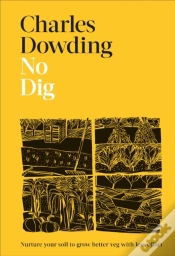 Capa do artigo No Dig