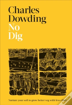 Capa do artigo No Dig