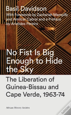 Capa do artigo No Fist Is Big Enough To Hide The Sky