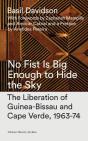 No Fist Is Big Enough To Hide The Sky - Preview
