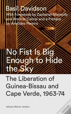 Capa do artigo No Fist Is Big Enough To Hide The Sky