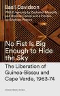 No Fist Is Big Enough To Hide The Sky - Preview