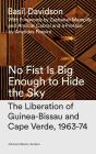 No Fist Is Big Enough To Hide The Sky - Preview