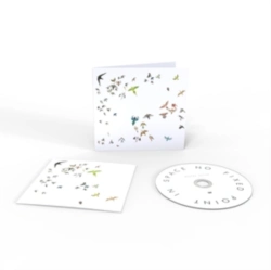 Capa do artigo No Fixed Point in Space - CD