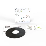 Capa do artigo No Fixed Point in Space - Vinil