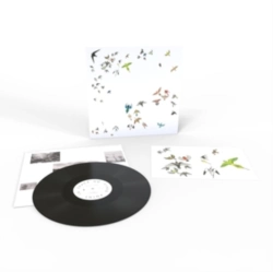 Capa do artigo No Fixed Point in Space - Vinil