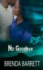 No Goodbye - Preview