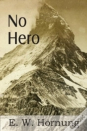 Capa do artigo No Hero