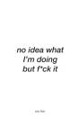 No Idea What I'M Doing But F*Ck It - Preview