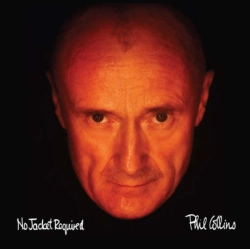 Capa do artigo No Jacket Required - CD