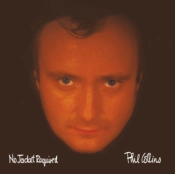 Capa do artigo No Jacket Required - CD