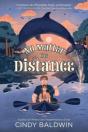 No Matter The Distance - Preview