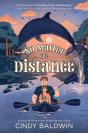 No Matter The Distance - Preview