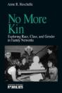 No More Kin - Preview