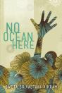 No Ocean Here - Preview