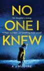 No One I Knew - Preview