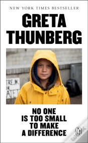 Capa do artigo No One Is Too Small To Make A Difference