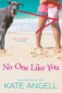 No One Like You - Preview
