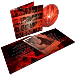 Capa do artigo No One Sings Like You Anymore - CD