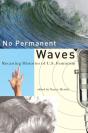 No Permanent Waves - Preview