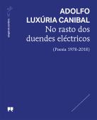 No rasto dos duendes eléctricos