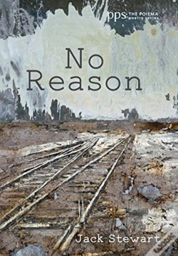 Capa do artigo No Reason