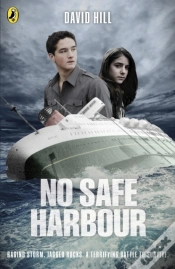 Capa do artigo No Safe Harbour