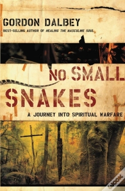 Capa do artigo No Small Snakes