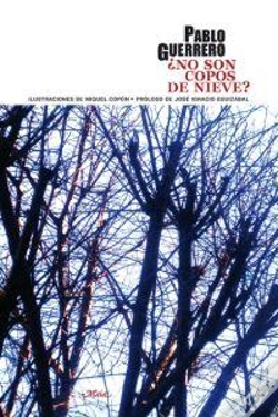 Capa do artigo ¿No Son Copos De Nieve?
