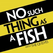Capa do artigo No Such Thing As a Fish - Vinil