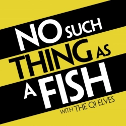 Capa do artigo No Such Thing As a Fish - Vinil