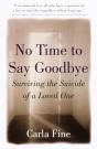 No Time To Say Goodbye - Preview