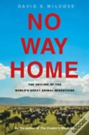 Capa do artigo No Way Home